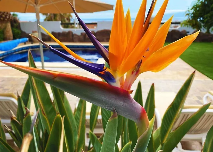 Anais Luxury By Interhome