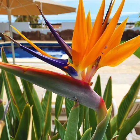 Anais Luxury By Interhome